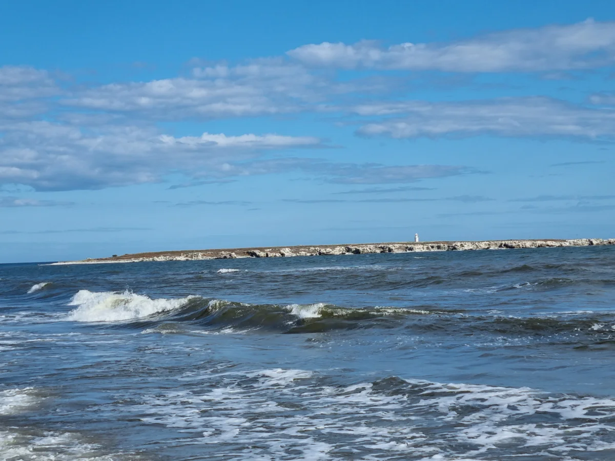 Vågor på ett blåsigt hav utanför Gotlands kust