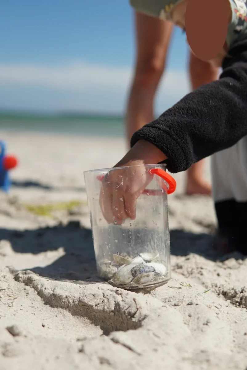 Barn leker i sanden på en strand på Gotland