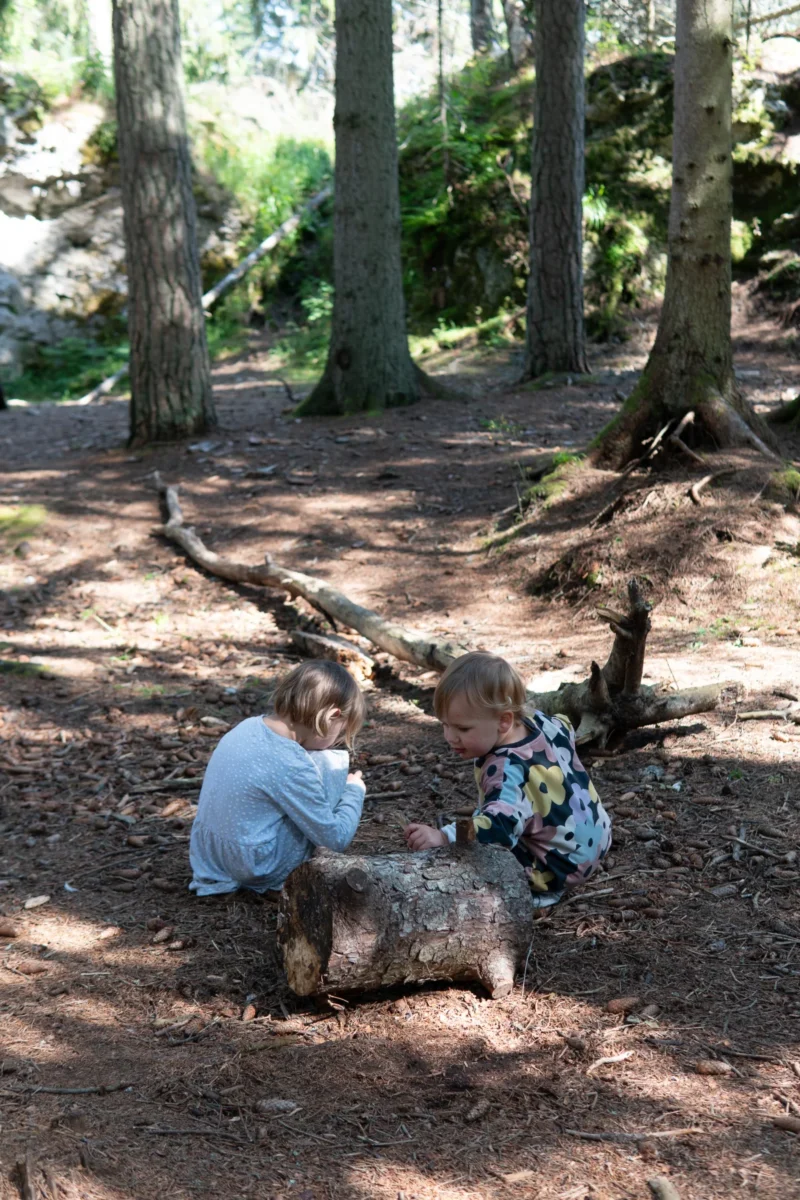 Barn leker i skogen på Gotland