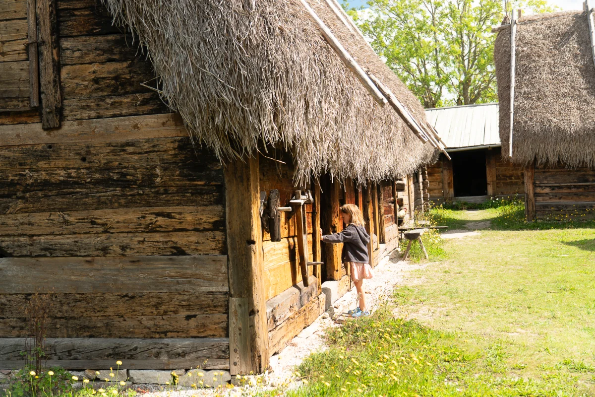 Barn vid en timrad gård med halmtak på Bungemuseet